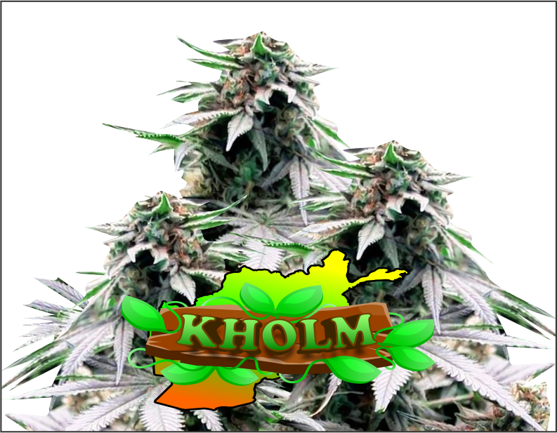 kholm-product1