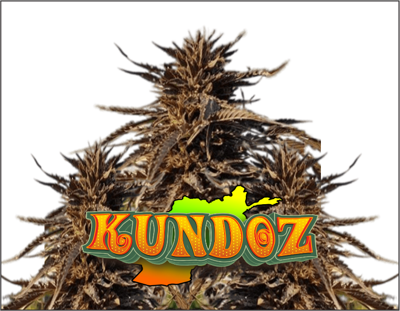 kundoz-product1