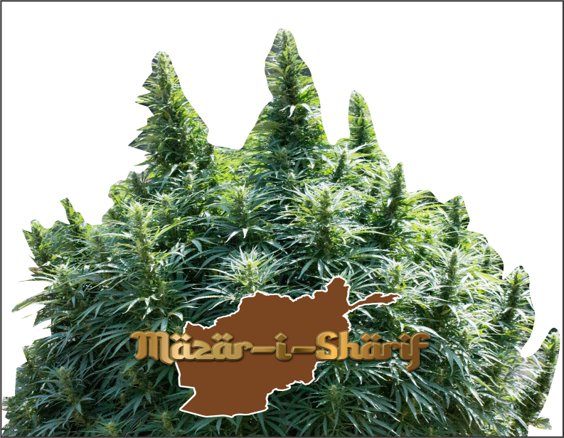 mazar-i-sharif-product1